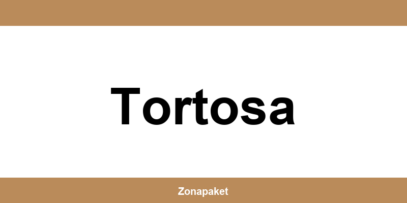 Teléfono de Access Point UPS en Tortosa