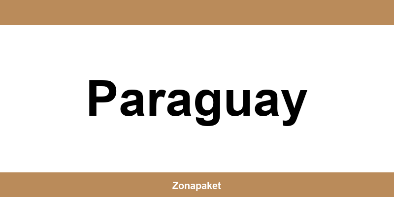 Teléfono de Access Point UPS en Paraguay