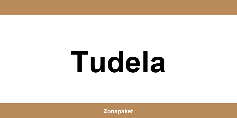 Teléfono de Access Point UPS en Tudela